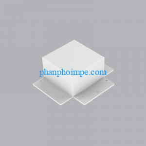 Thanh Noi T Mau Trang Lew T