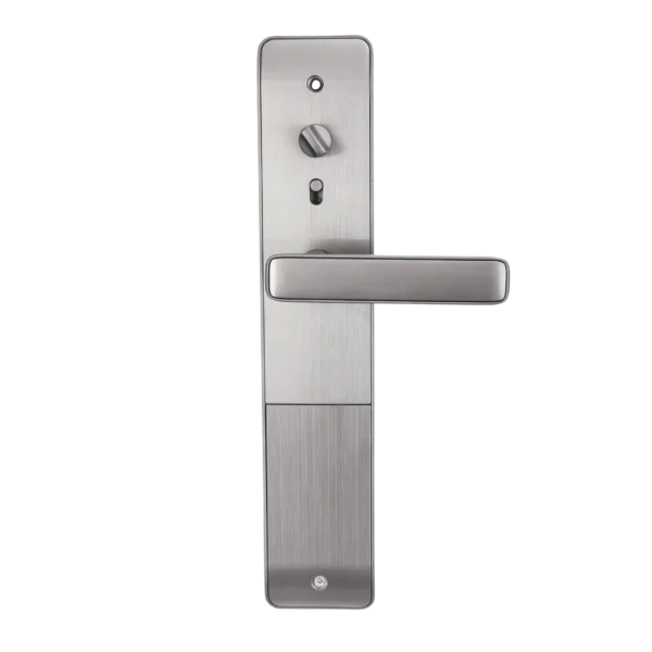 Khóa Cửa Thông Minh Màu Đen DL2 3