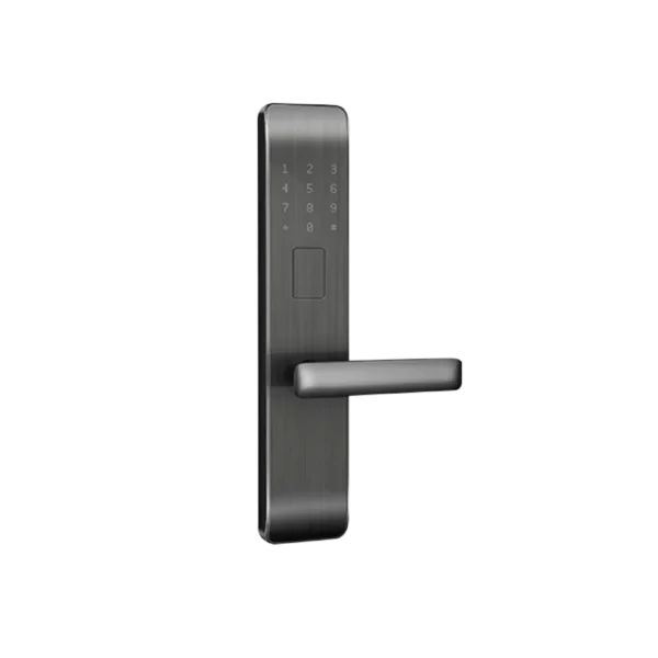 Khóa Cửa Smart Zigbee 2