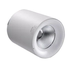 Đèn Downlight Tròn 25W MPE SDL lắp nổi