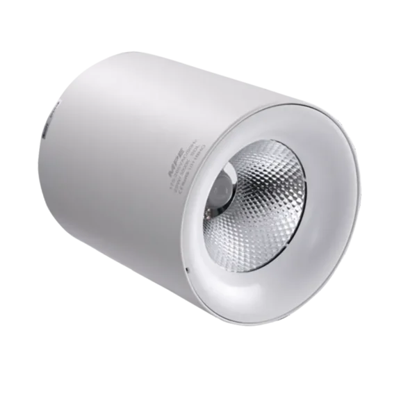 Đèn Downlight Tròn 25W MPE SDL lắp nổi 3